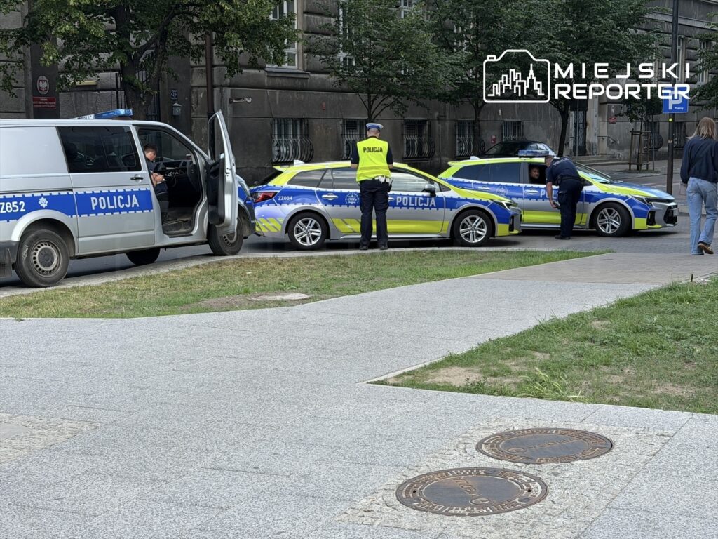 Funkcjonariusze policji rozmawiają przy radiowozach na ulicy, obok parku w miejskim otoczeniu.