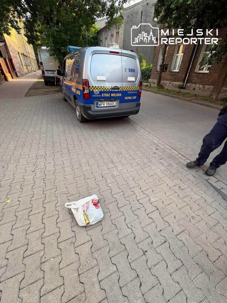 Straż miejska przy samochodzie patrolowym na ulicy, obok leży torba z zawartością.