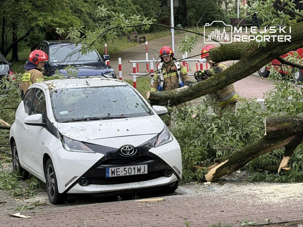 Strażacy usuwają powalone drzewo z drogi obok białego samochodu osobowego, w tle widać inne pojazdy.