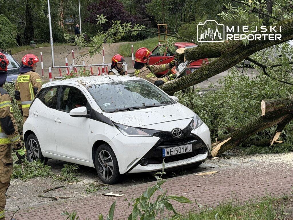 Strażacy usuwają złamane gałęzie drzewa z białego samochodu osobowego na ulicy w parku.