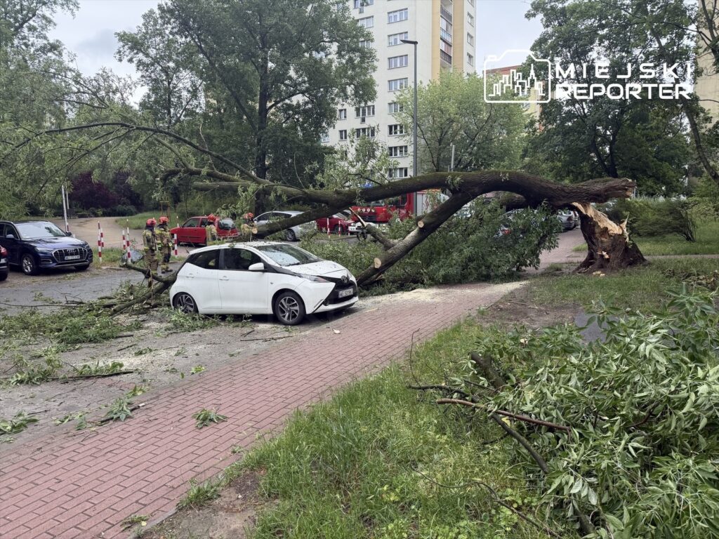 Biały samochód osobowy zniszczony przez przewrócone drzewo na parkingu, w tle strażacy usuwają gałęzie.