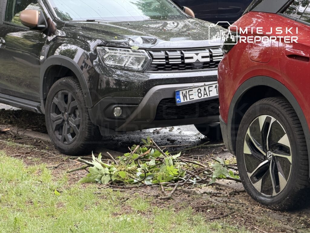 Dwa samochody zaparkowane na trawie, obok leżą gałęzie i liście, w tle widoczne drzewa.