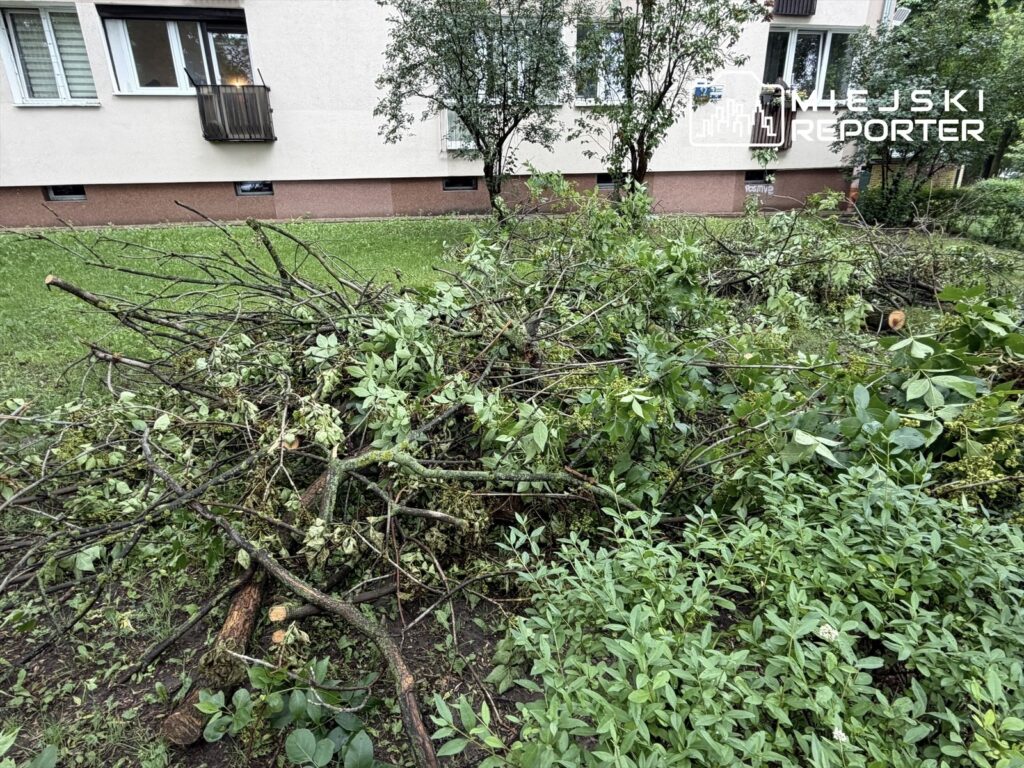 Stosy gałęzi i liści leżące na trawie w pobliżu budynku mieszkalnego.