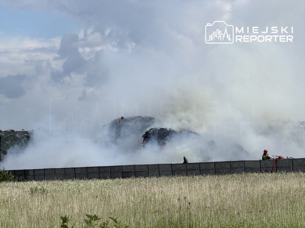 Strażacy w hełmach gaszą pożar na wysypisku, otoczeni gęstym dymem i wysoką trawą.