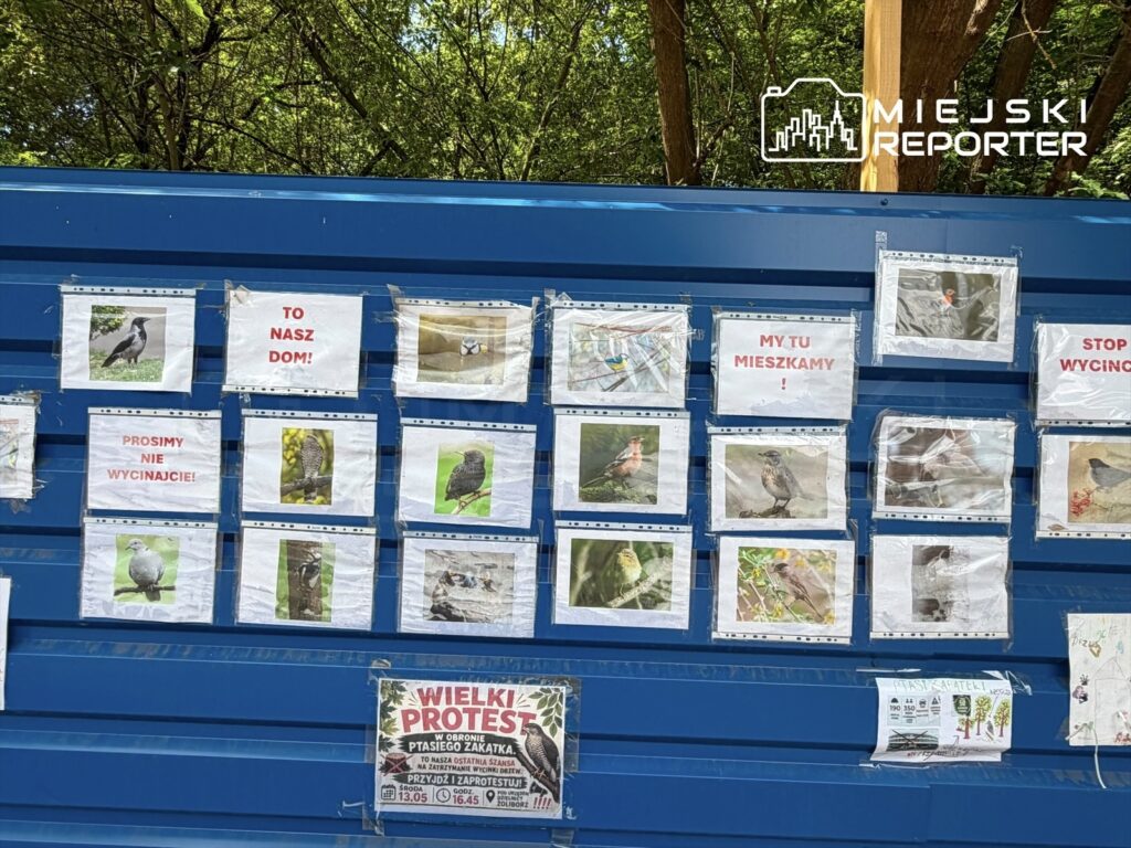 Na niebieskiej tablicy ogłoszeniowej zawieszone są zdjęcia ptaków oraz transparenty z hasłami: "TO NASZ DOM!", "PROSIMY NIE WYCIINAJCIE!" i "MY TU MIESZKAMY!". W dolnej części widoczna jest informacja o proteście w obronie ptasiego zakątka.