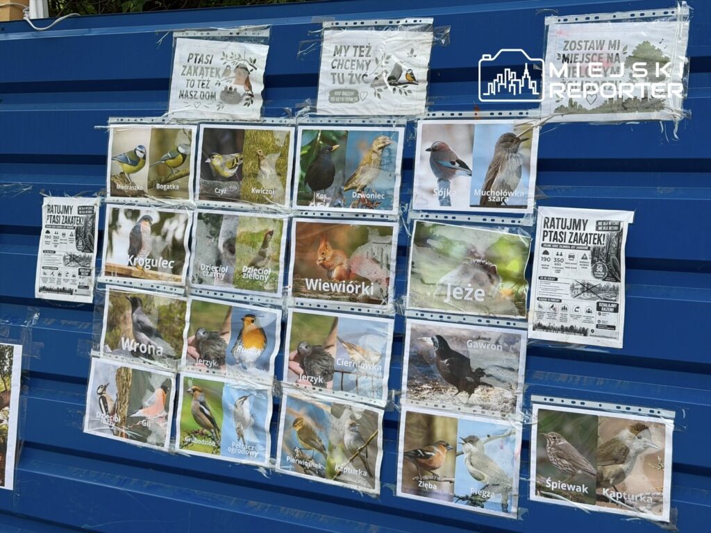 Plakat z zdjęciami różnych ptaków, umieszczony na niebieskiej ścianie, z informacją o ochronie ich siedlisk.