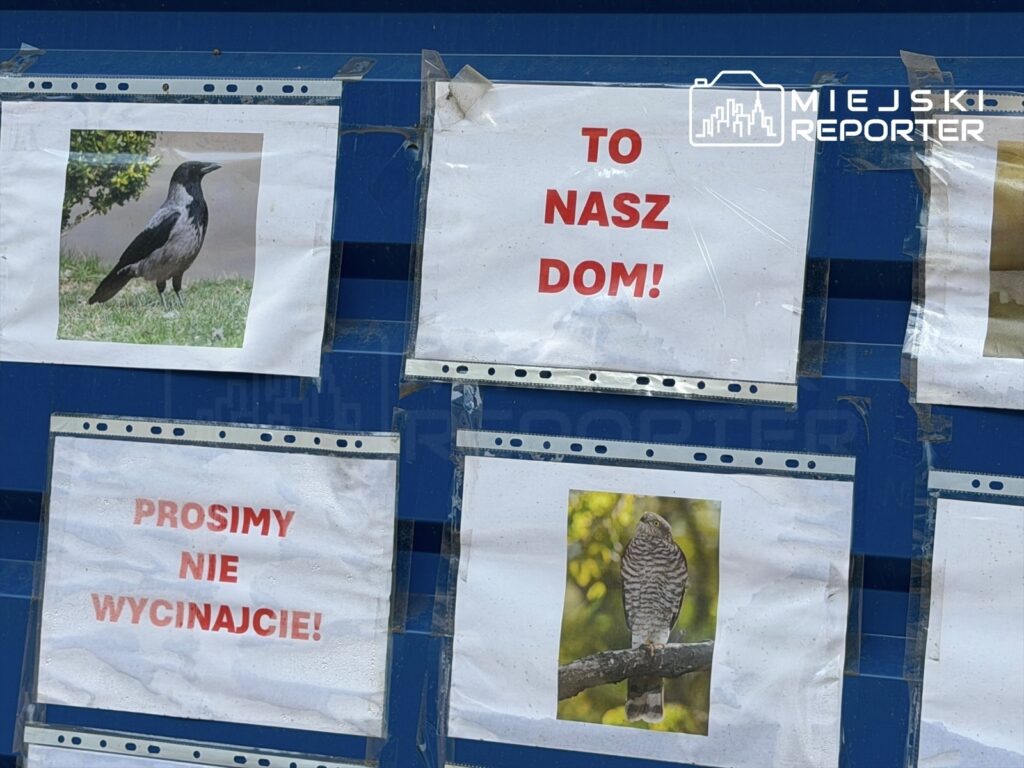 Plakaty na niebieskiej tablicy z wizerunkami ptaków i hasłami: "TO NASZ DOM!" oraz "PROSIMY NIE WYCIINAJCIE!".
