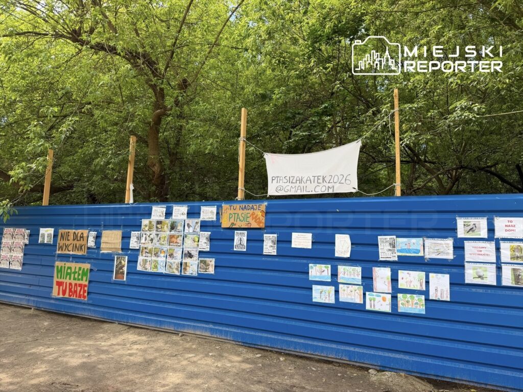 Na niebieskiej ścianie ogrodzenia umieszczono liczne plakaty i rysunki, w tym hasła przeciw wycince drzew.
