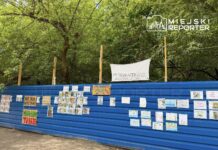Na niebieskiej ścianie ogrodzenia umieszczono liczne plakaty i rysunki, w tym hasła przeciw wycince drzew.
