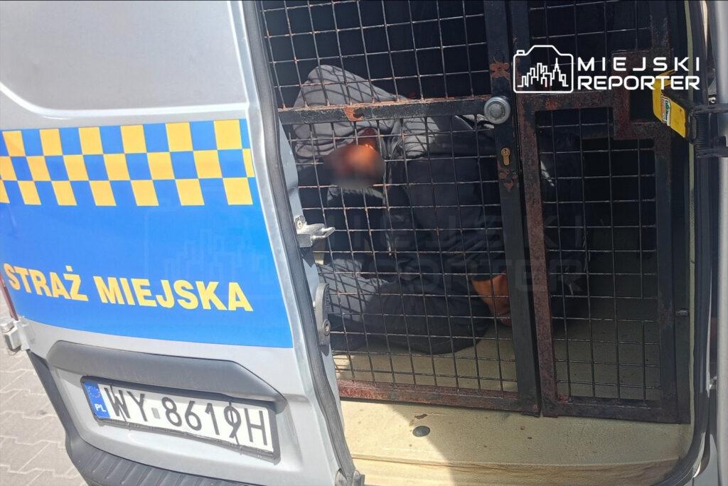 Mężczyzna siedzący w zamkniętej przestrzeni radiowozu Straży Miejskiej z siatką zabezpieczającą.