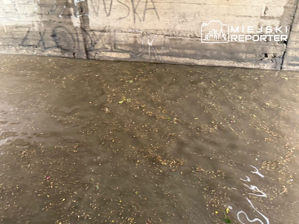 Woda pokrywająca betonową nawierzchnię z widocznymi resztkami roślinności i graffiti na ścianie w tle.