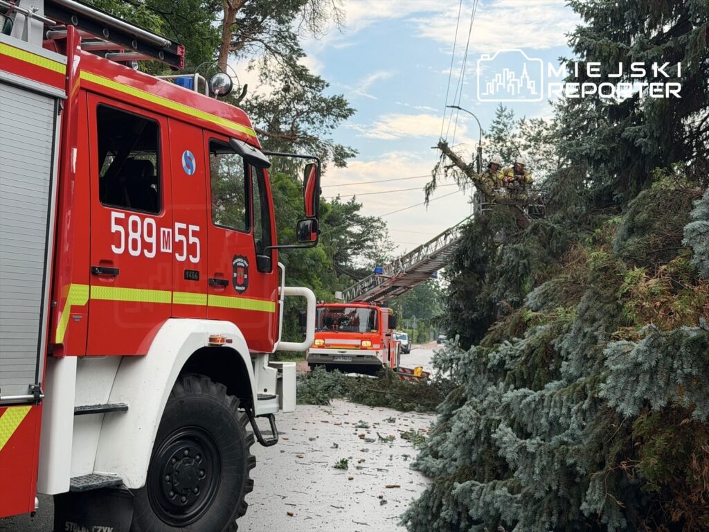 Czerwony wóz strażacki z numerem 589M55 stoi na ulicy, podczas gdy strażacy usuwają gałęzie z drogi.