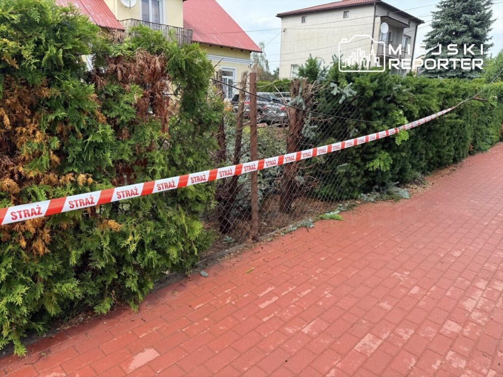 Czerwono-biała taśma zabezpieczająca z napisem "STRAŻ" otacza uschnięte krzewy przy ogrodzeniu na chodniku.