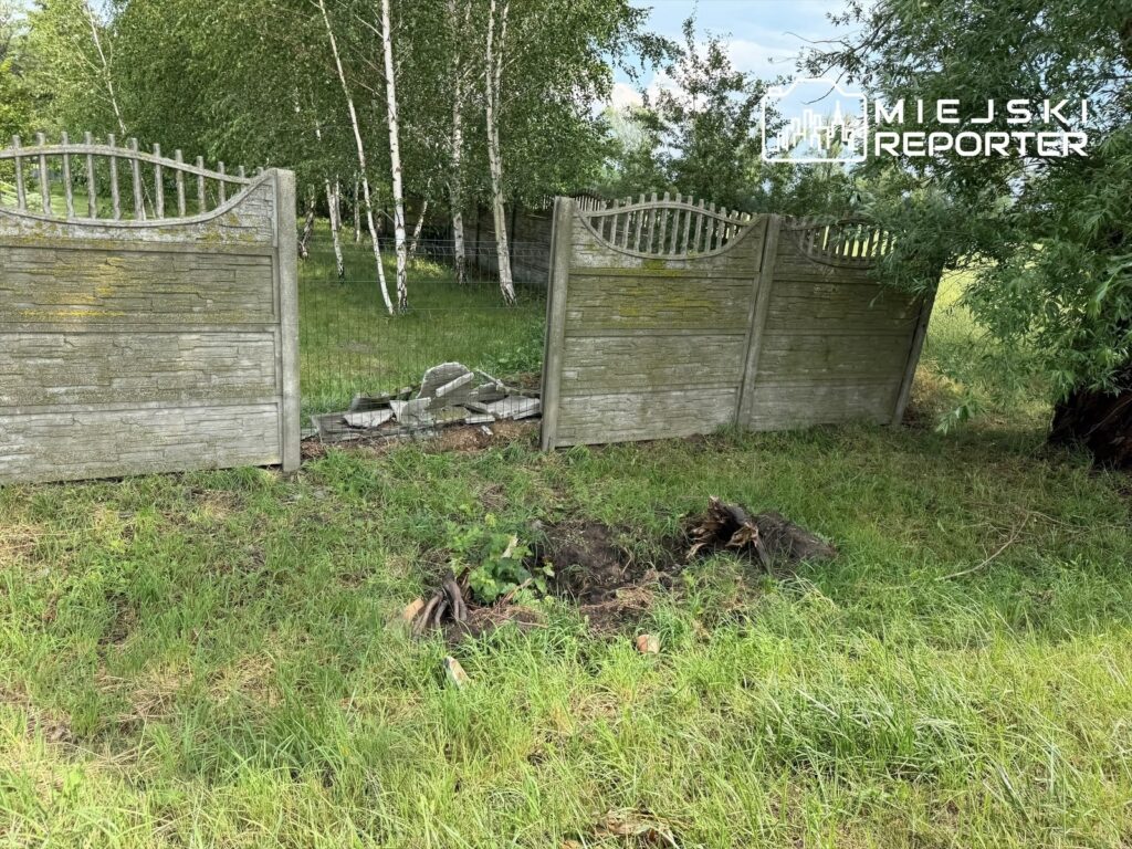 Zniszczony fragment ogrodzenia z drewnianymi przęsłami, w tle trawa i drzewa, obok wykopany dół z korzeniami.