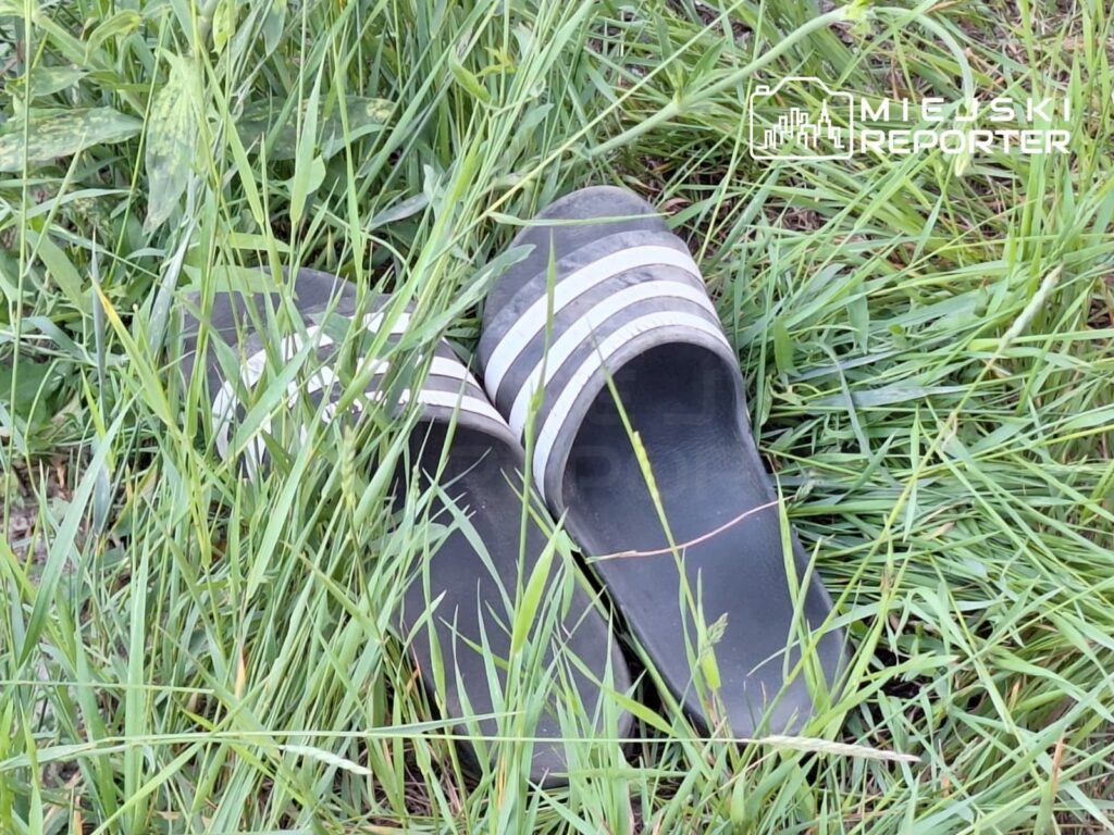Sandały w paski leżą na trawie w zaroślach.
