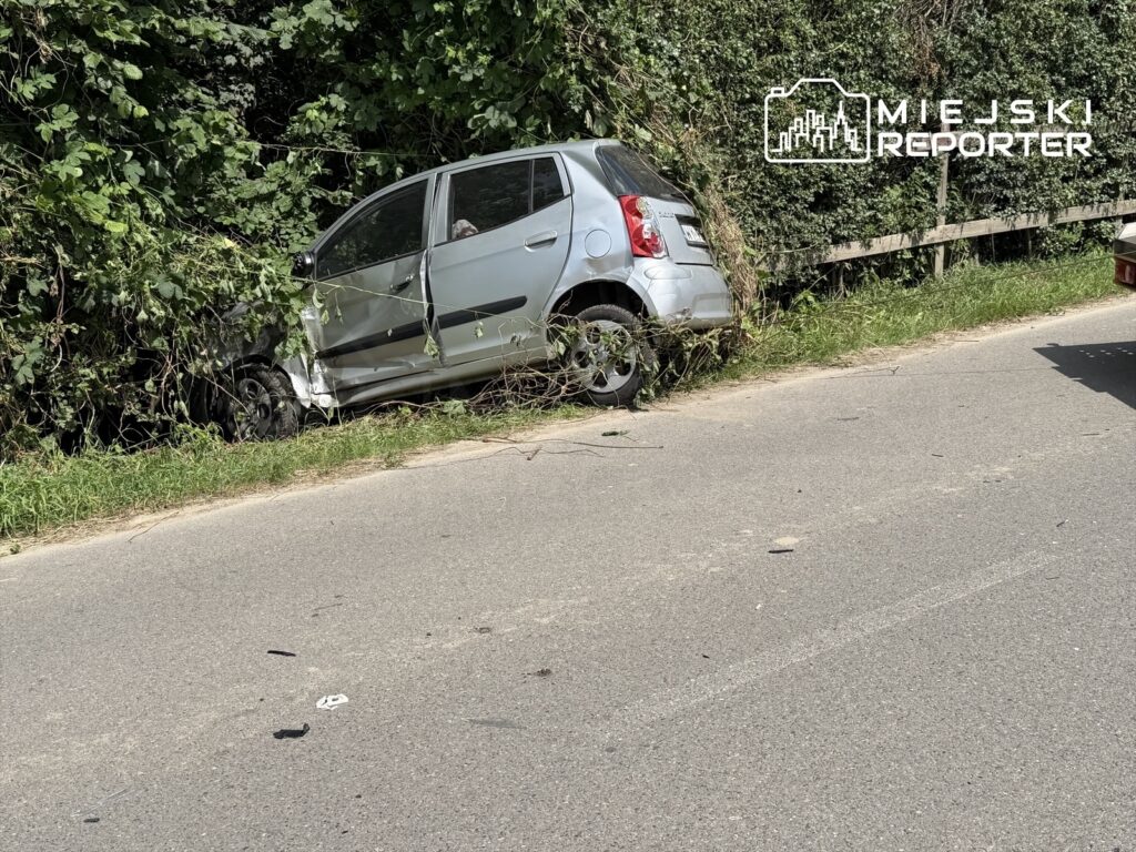 Srebrny samochód osobowy wjeżdżający w zarośla przy drodze, częściowo zasłonięty przez roślinność.