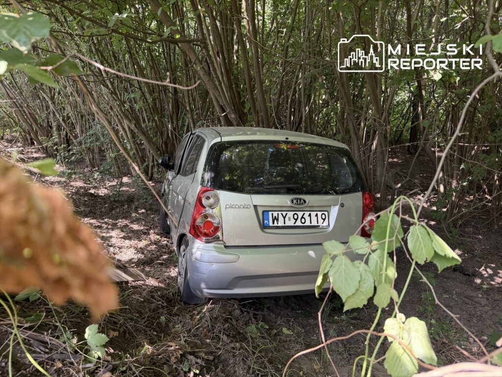 Srebrny samochód Kia Picanto zaparkowany w zaroślach, otoczony gęstą roślinnością.
