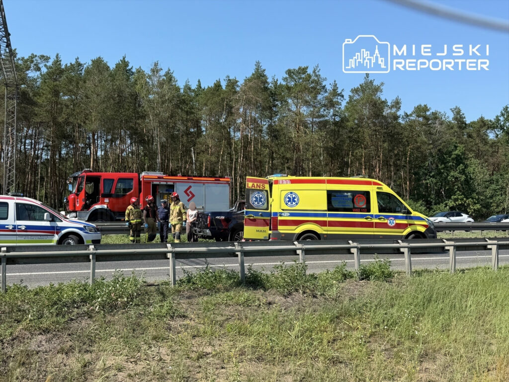 Grupa ratowników i strażaków rozmawia obok wozu strażackiego oraz karetki na poboczu drogi, w otoczeniu lasu.
