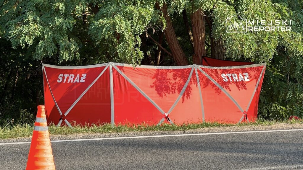 Czerwony namiot z napisem "STRAŻ" ustawiony przy drodze, otoczony gęstą roślinnością. W pobliżu pomarańczowy pachołek.