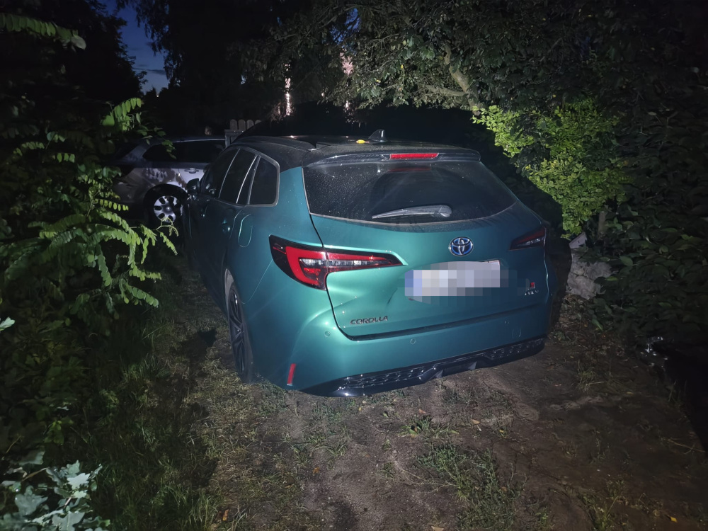 Zielony samochód marki Toyota Corolla zaparkowany w zarośniętej przestrzeni, otoczony drzewami i innymi pojazdami.