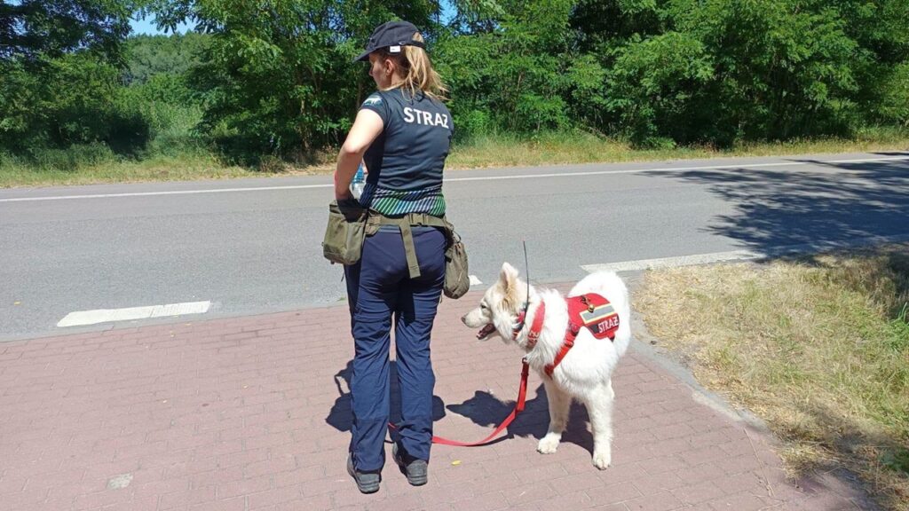 Kobieta w mundurze strażackim stoi z psem ratowniczym na poboczu drogi w otoczeniu zieleni.