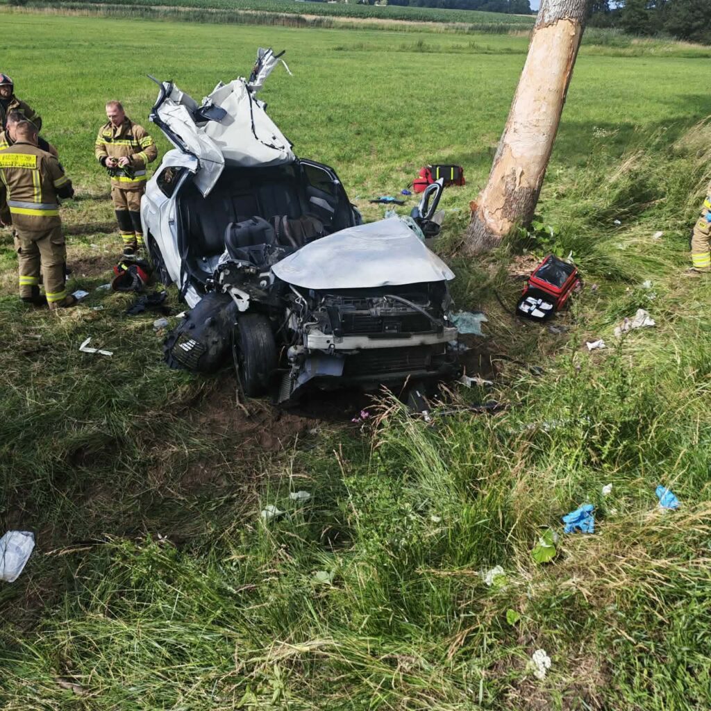 Wielu strażaków pracuje przy rozbitej osobówce, która uderzyła w drzewo na zielonym terenie.