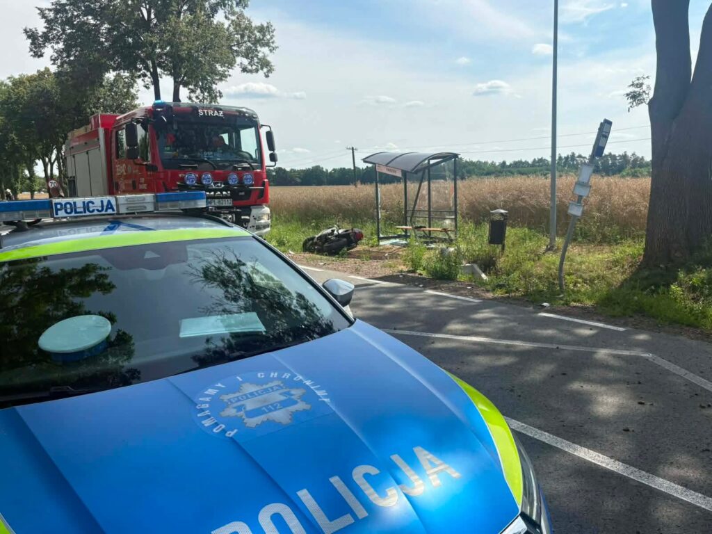 Policyjny radiowóz z widocznym napisem "POLICJA" stoi na poboczu drogi obok wozu strażackiego, w tle pole zboża.