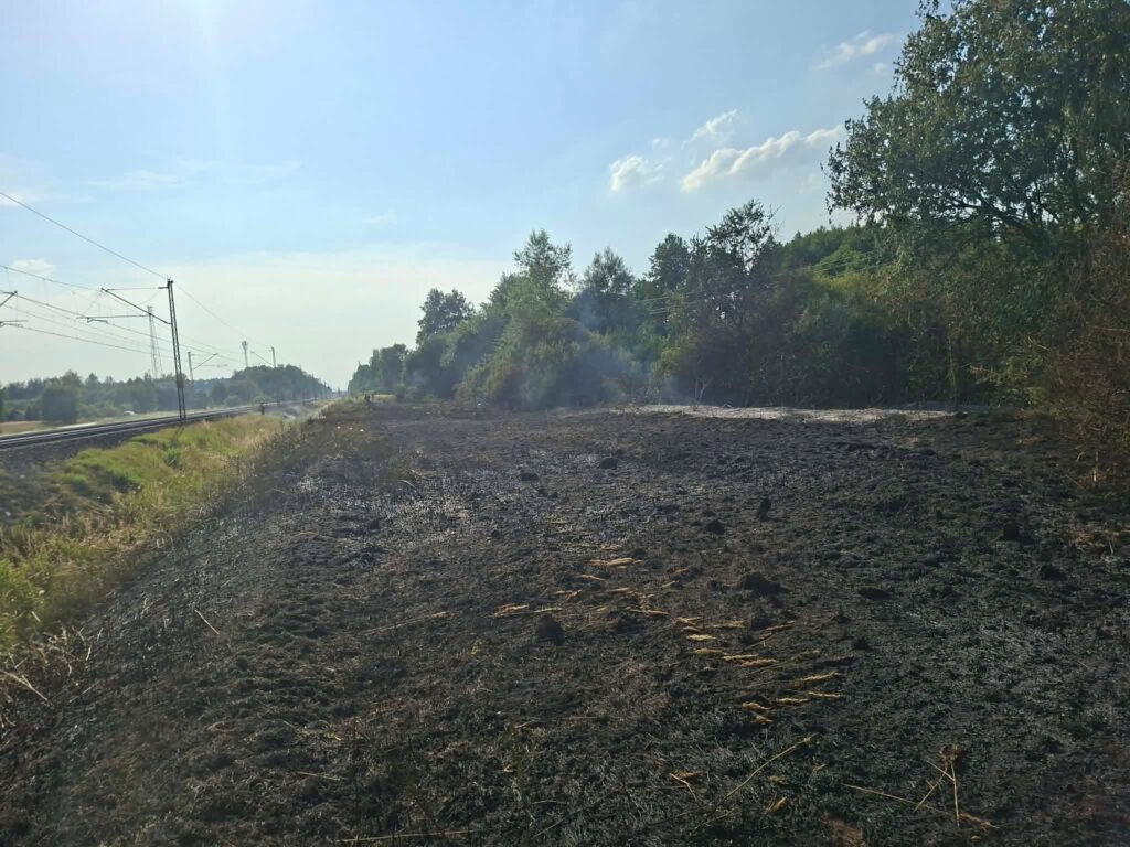 Spalona powierzchnia trawy obok torów kolejowych, w tle zieleń drzew i niebo z chmurami.