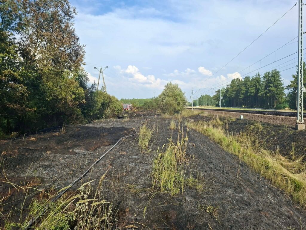 Spalone trawy i krzewy wzdłuż torów kolejowych, w tle widoczny pojazd strażacki oraz drzewa.