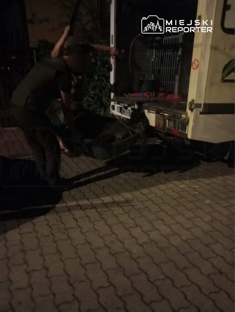 Dwóch mężczyzn w mundurach przenosi przedmiot do wnętrza pojazdu dostawczego w nocy na ulicy.