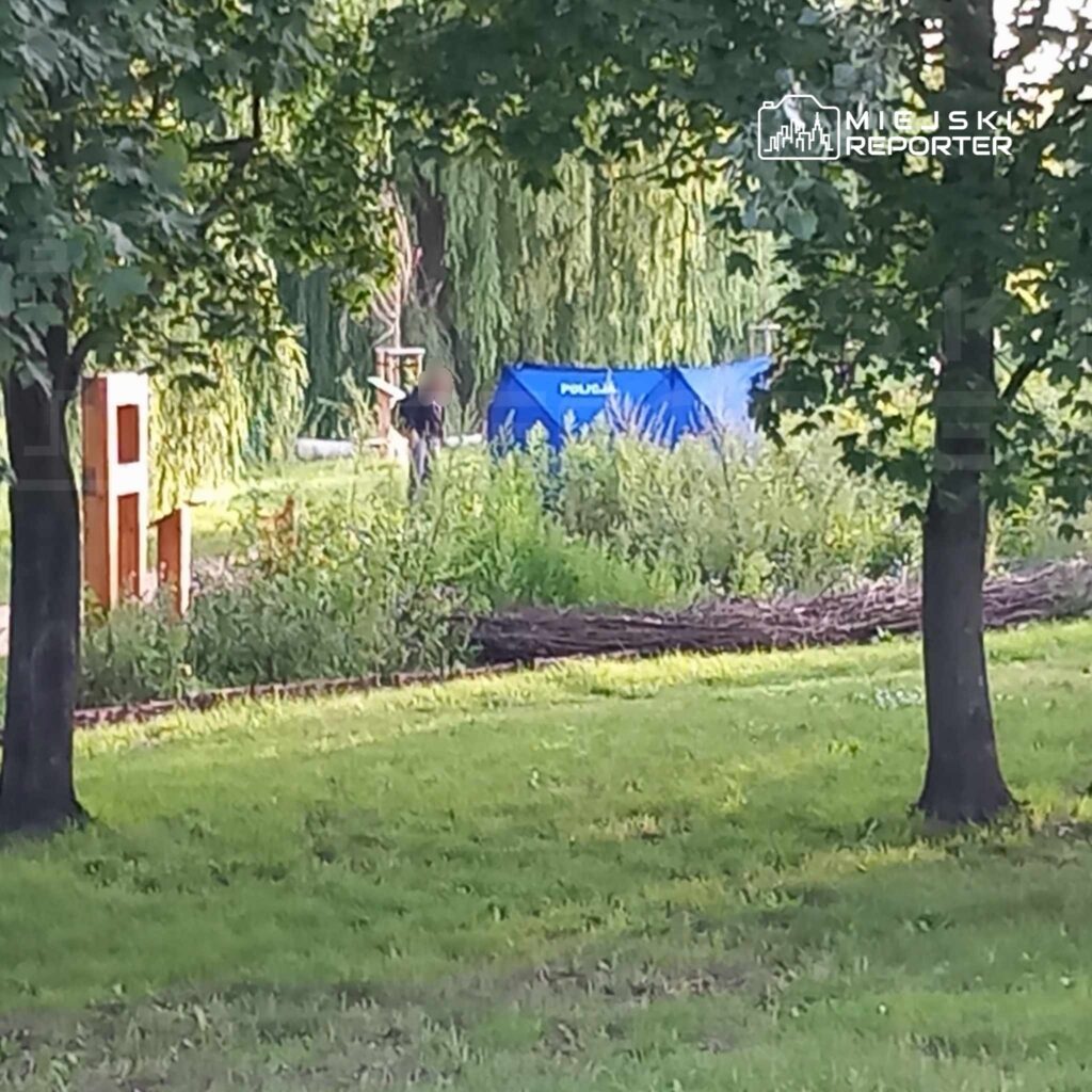 Mężczyzna w mundurze policjanym przeszukuje teren w parku obok niebieskiego namiotu policyjnego.