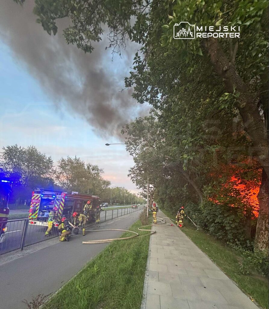 Grupa strażaków gasi pożar w zaroślach obok drogi, w tle widoczny dym i ogień. Widać również wóz strażacki.