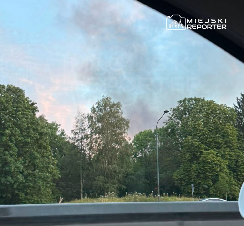 Gęsty dym unoszący się nad drzewami w tle, na tle niebieskiego nieba z różowymi chmurami.