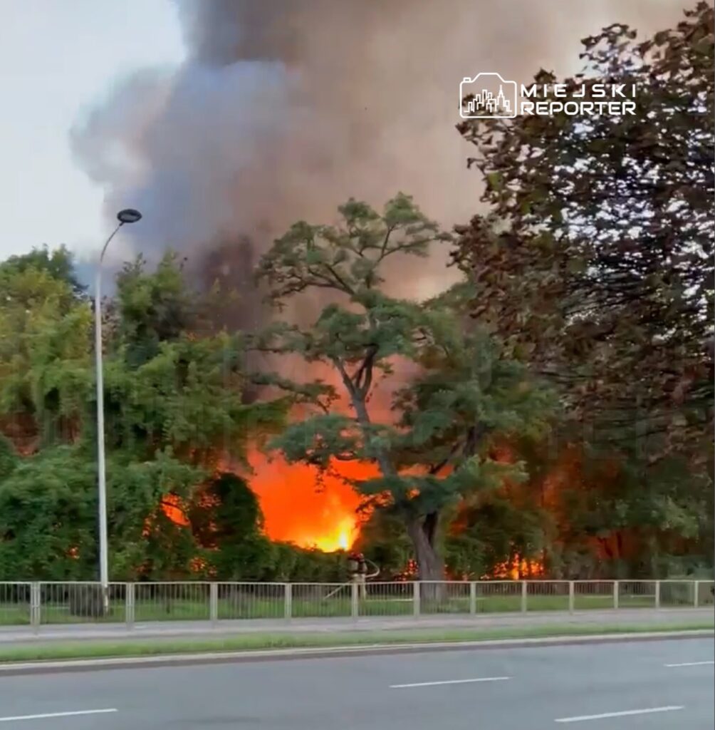 Pożar w gęstej roślinności, z intensywnym dymem i płomieniami widocznymi w tle, wzdłuż drogi.