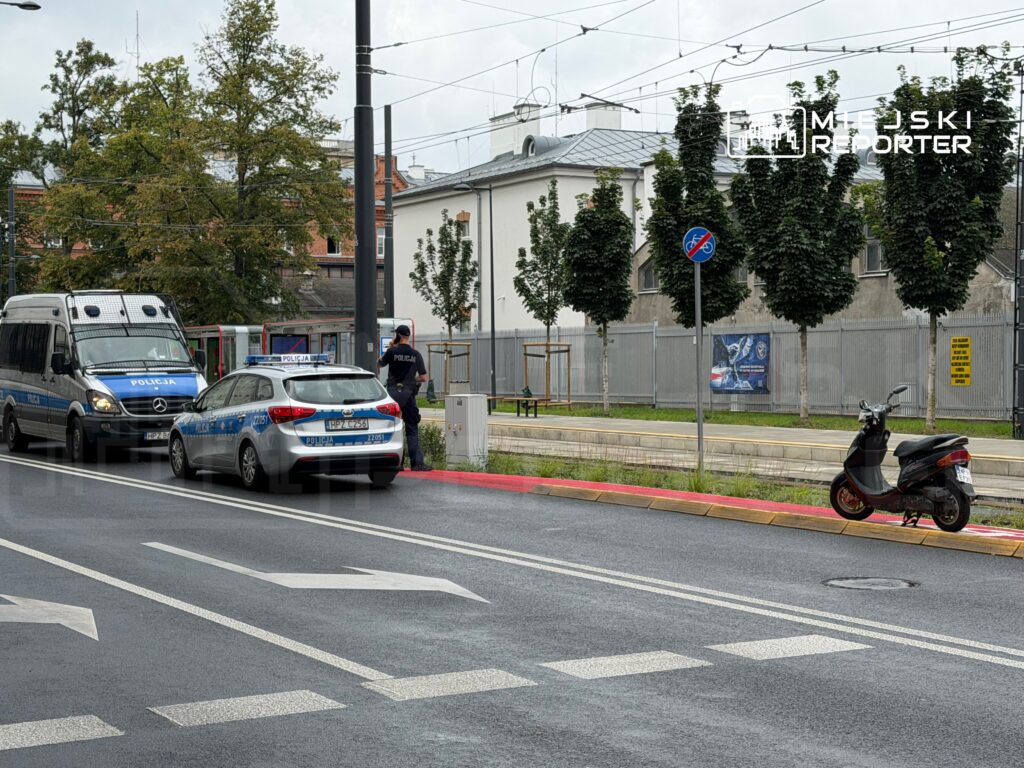 Policjant rozmawia z kierowcą w radiowozie policyjnym obok furgonetki na ulicy przy zieleni.