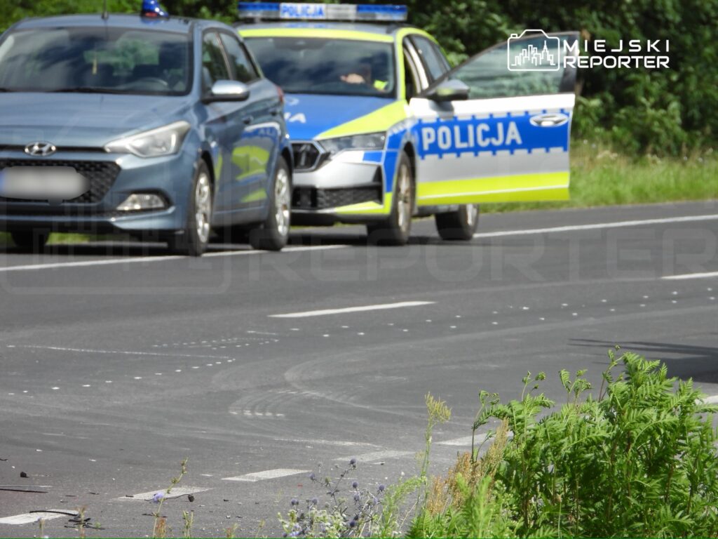 Na drodze zatrzymane są dwa pojazdy, w tym radiowóz z otwartymi drzwiami, obok rosną dzikie rośliny.