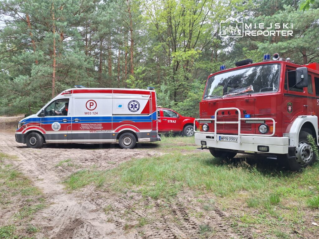 Ambulans i wóz strażacki zaparkowane na leśnej drodze w otoczeniu drzew.