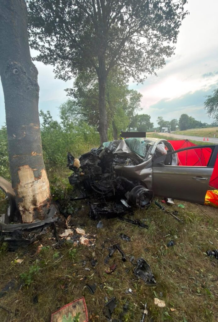 Zniszczony samochód osobowy zderzony z drzewem, otoczony odłamkami na trawie przy drodze.