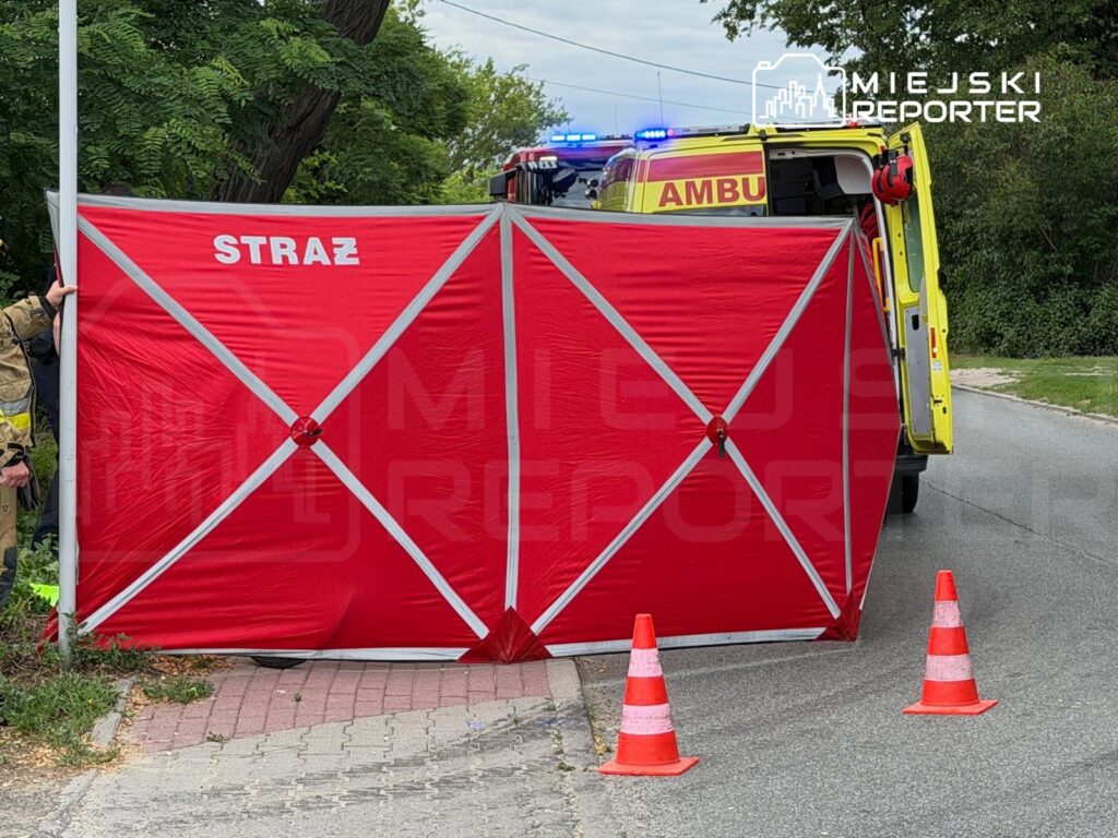 Strażacy trzymają czerwoną osłonę na poboczu drogi, a w tle stoi ambulans z włączonymi sygnałami świetlnymi.