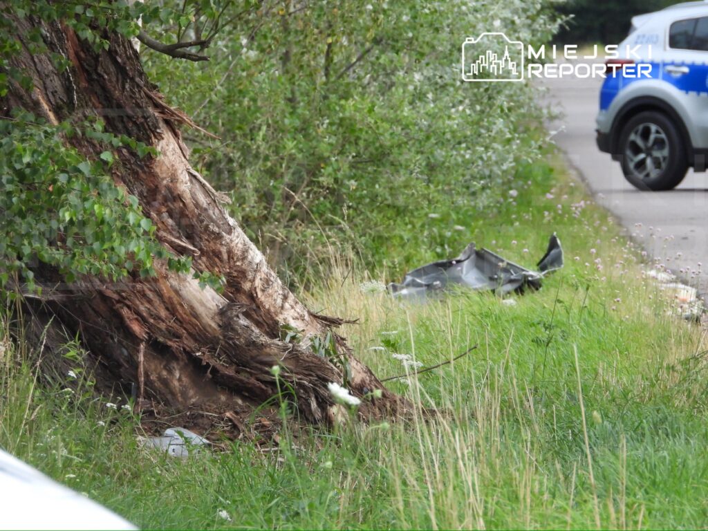 Wrak samochodu leży na trawie obok drzewa, w tle widać policyjny radiowóz na drodze.