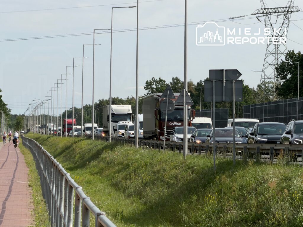 Ruch samochodowy na zatłoczonej drodze, obok rowerzyści poruszający się ścieżką rowerową wzdłuż trawnika.