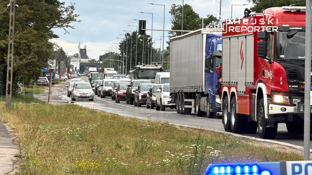Ruchliwa ulica z długim korkiem samochodowym, w tym ciężarówki i osobówki, w otoczeniu zieleni i drzew.