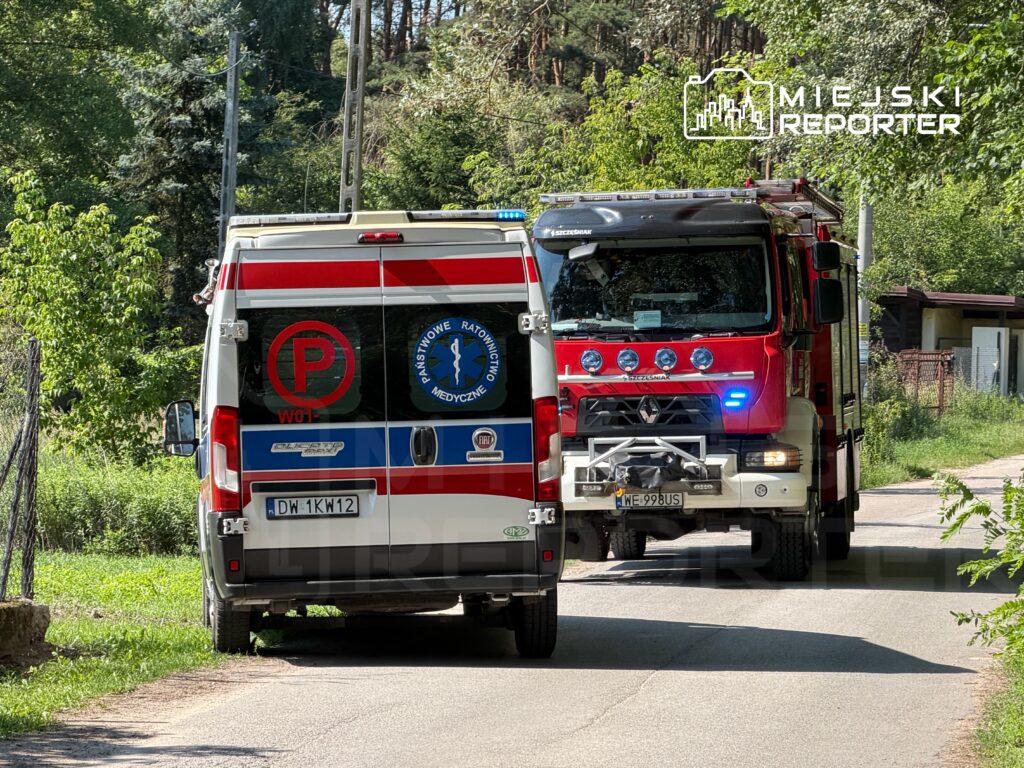 Karetka pogotowia i wóz strażacki zatrzymane na wąskiej drodze otoczonej zielenią.