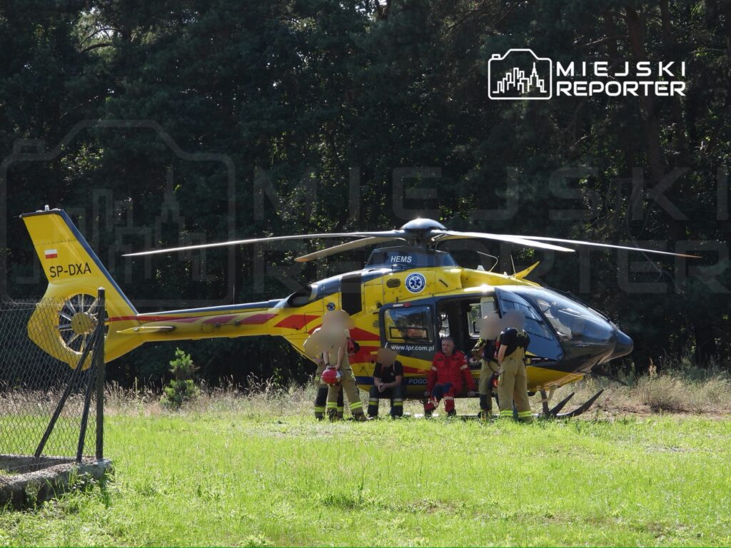 Ratownicy medyczni przygotowują się do akcji obok helikoptera ratunkowego na tle lasu.