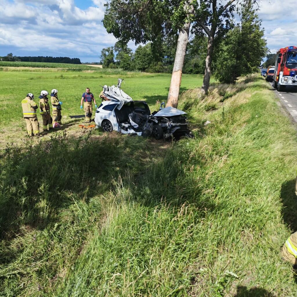 Grupa strażaków pracuje przy rozbitym samochodzie osobowym, który uderzył w drzewo na poboczu drogi otoczonej zielenią.