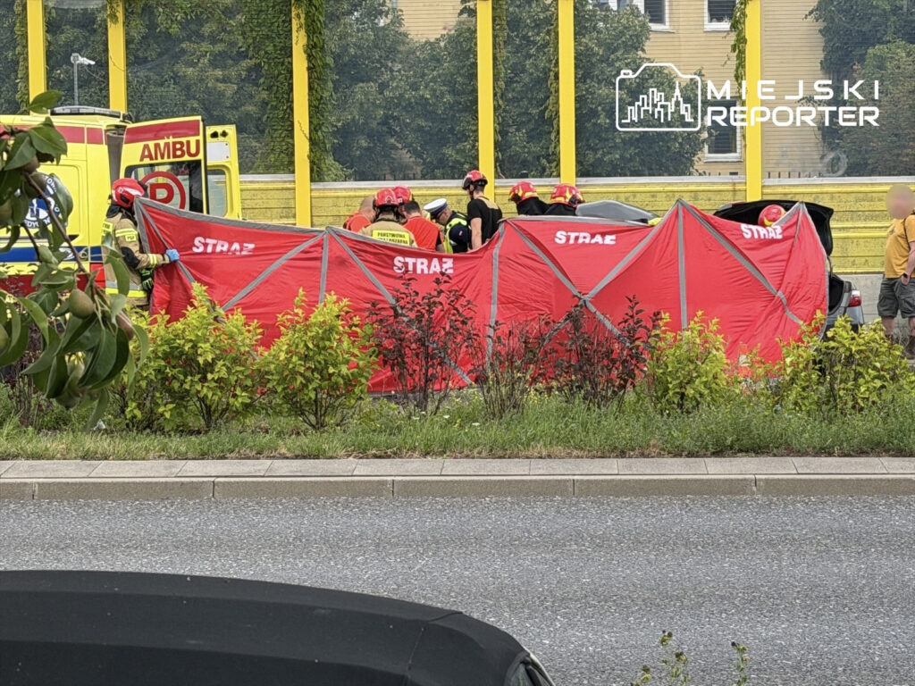 Grupa strażaków w kaskach otacza czerwoną osłonę ratunkową obok samochodu na drodze, w tle karetka.