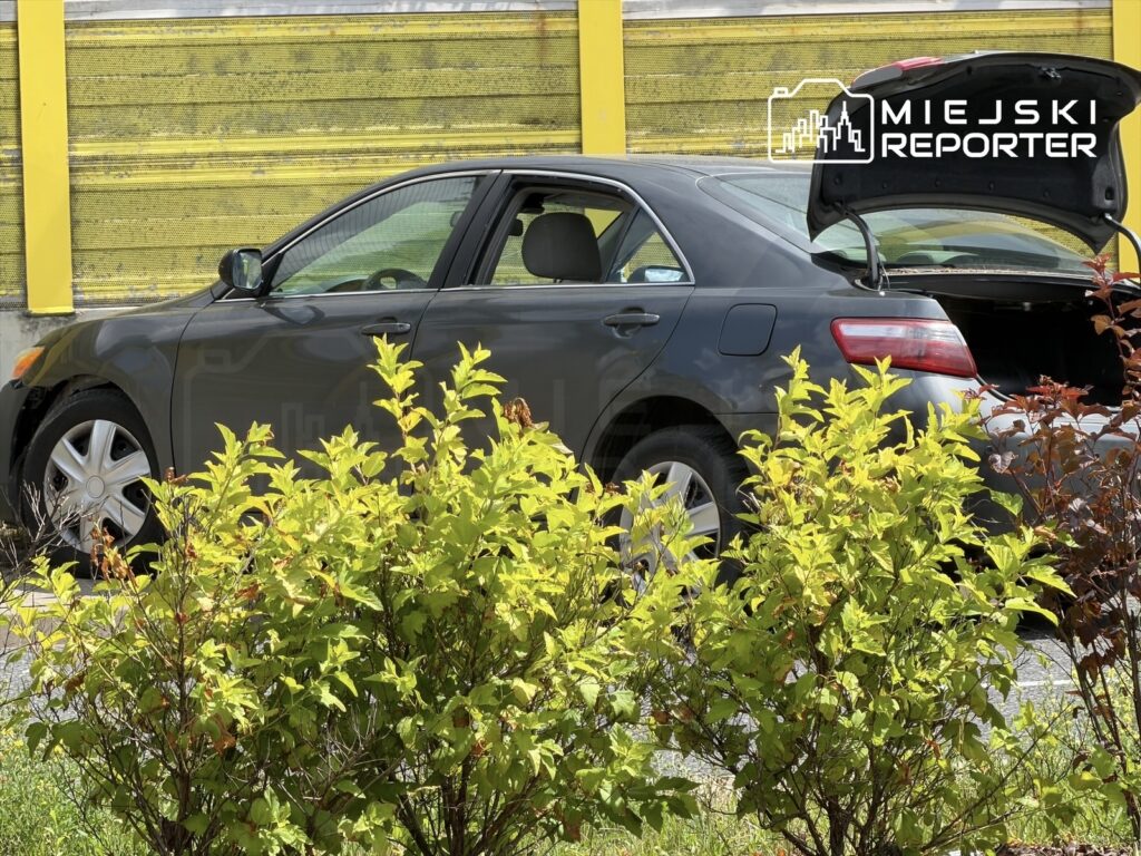 Czarny samochód osobowy z otwartym bagażnikiem stoi na parkingu wśród zielonych krzewów.