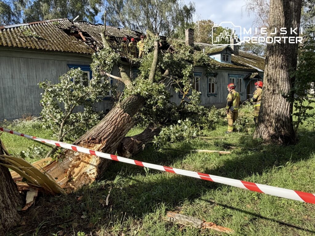 Strażacy w mundurach oceniają szkody po powalonym drzewie, które uszkodziło dach drewnianego budynku.