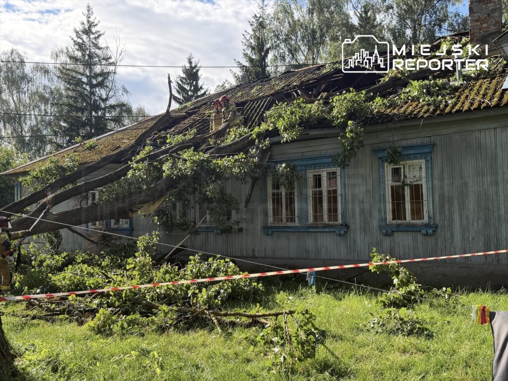 Strażacy usuwają gałęzie z dachu uszkodzonego budynku, na który spadła topola, w otoczeniu zieleni.
