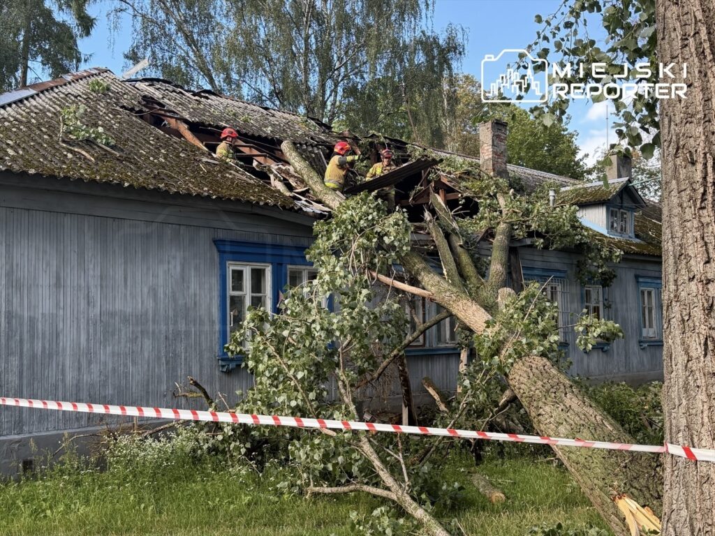 Strażacy usuwają gałęzie z dachu uszkodzonego budynku po upadku topoli, w otoczeniu zieleni i taśmy zabezpieczającej.